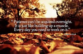 50 Best Islamic Quotes About Patience  