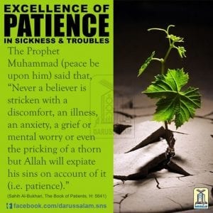 50 Best Islamic Quotes About Patience  