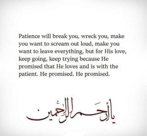 50 Best Islamic Quotes About Patience  