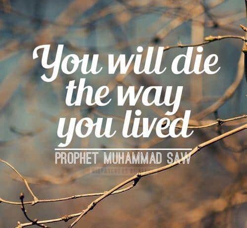 Awesome Life Is Too Short Islamic Quotes Quotes
