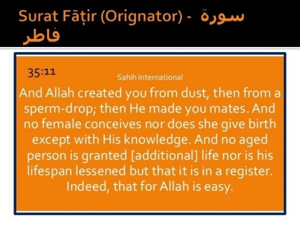 50 Islamic Quotes on Life with Images and Meaning