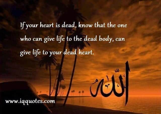 50 Islamic Quotes on Life with Images and Meaning