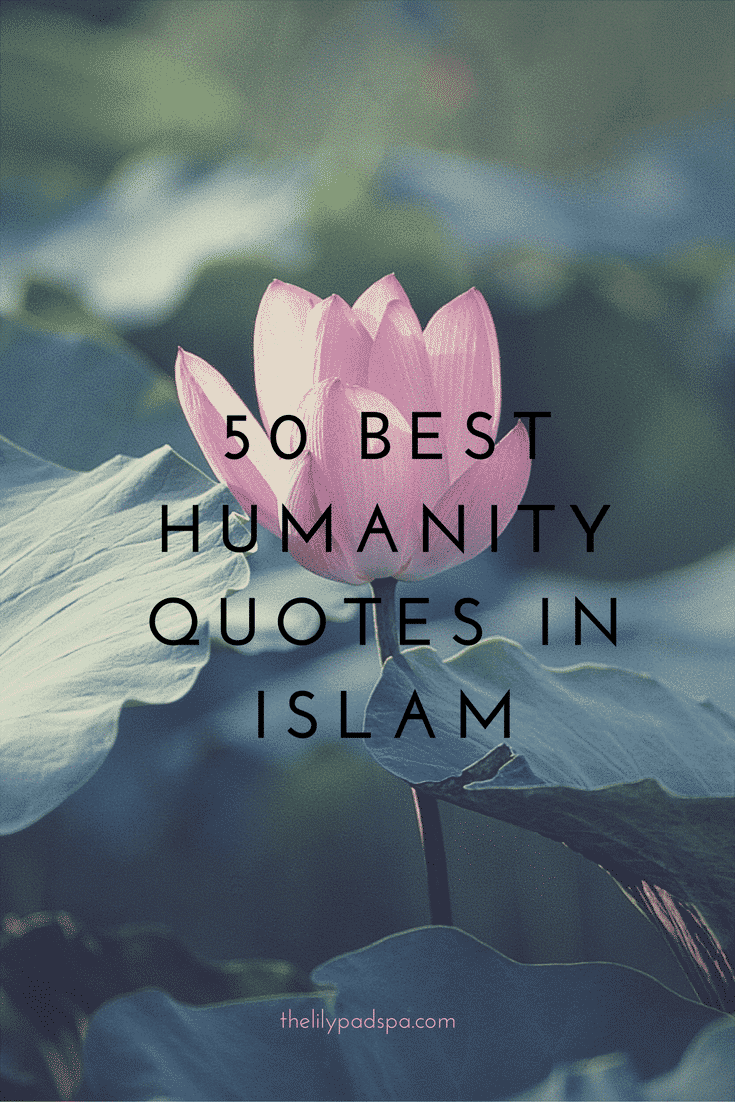 50 Best Humanity Quotes in Islam - Quran Quotes on Humanity  