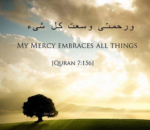 50 Best Islamic Quotes from Quran and Quran Sayings  