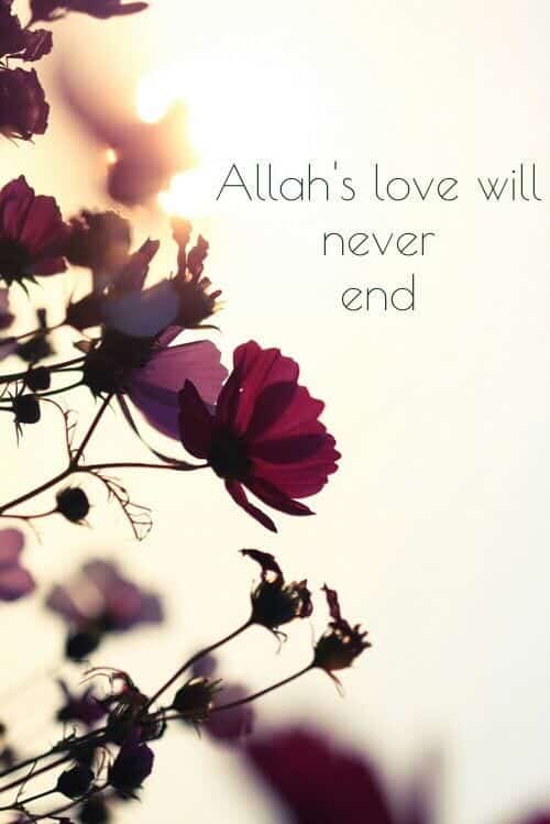 Best Allah Quotes and Sayings (49)
