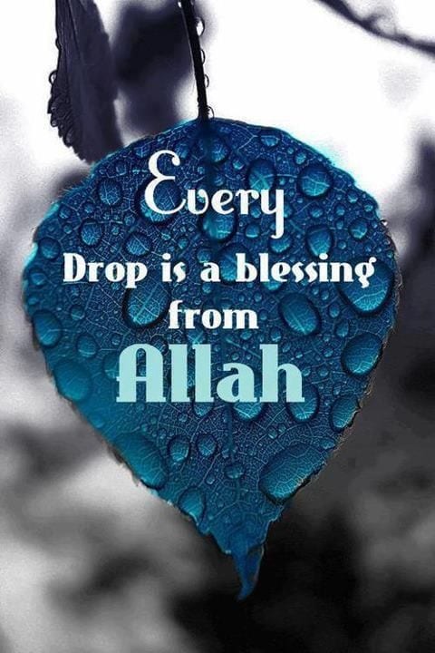 50 Best Allah Quotes and Sayings with Images  