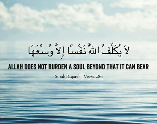 50 Best Islamic Quotes from Quran and Quran Sayings  