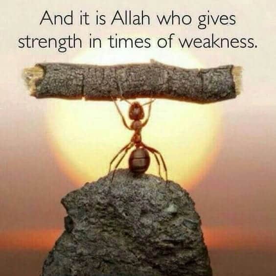 Best Allah Quotes and Sayings (33)