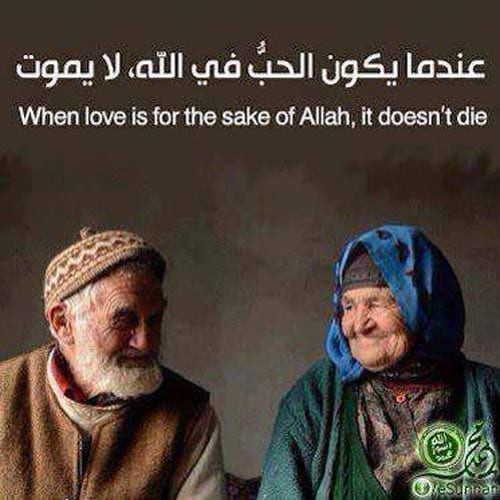 100+ Islamic Marriage Quotes For Husband and Wife  