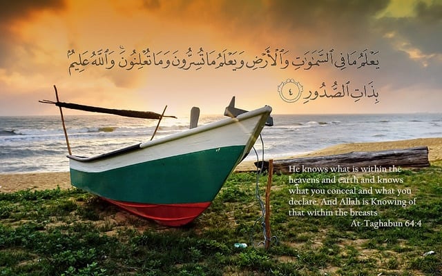 50 Best Islamic Quotes from Quran and Quran Sayings  