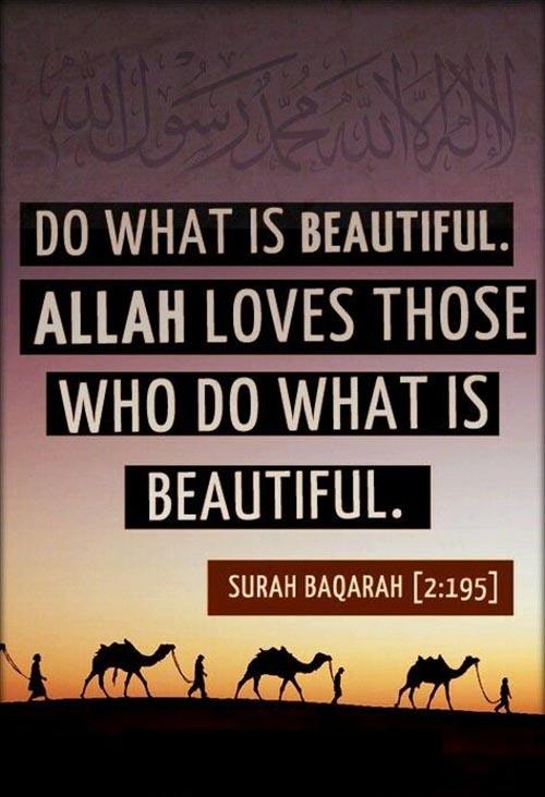 Beautiful Work by Allah