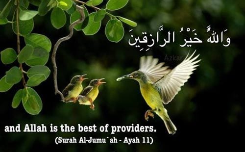 50 Best Islamic Quotes from Quran and Quran Sayings  