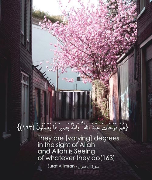 50 Best Islamic Quotes from Quran and Quran Sayings  