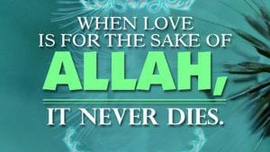 hadees quran ultraupdates evergreen haram