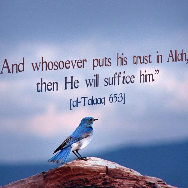 50 Best Allah Quotes and Sayings with Images
