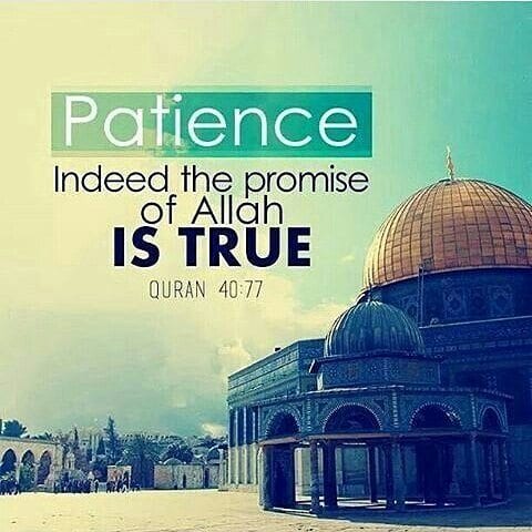 Best Allah Quotes and Sayings (40)