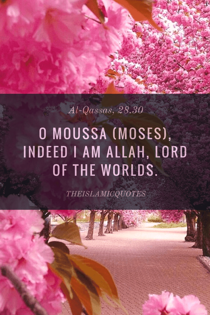 ALLAH QUOTES AND SAYINGS (3)