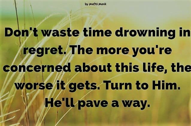 Mufti Menk Quotes (10)