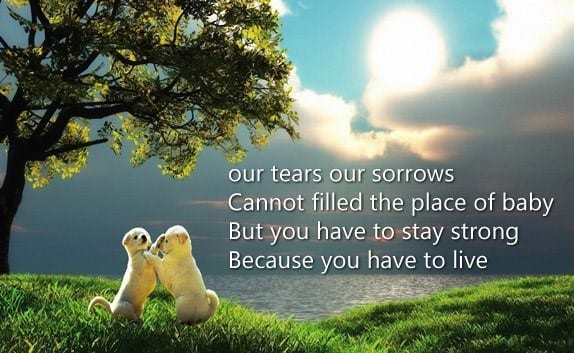 Condolences Messages in Islam (1)