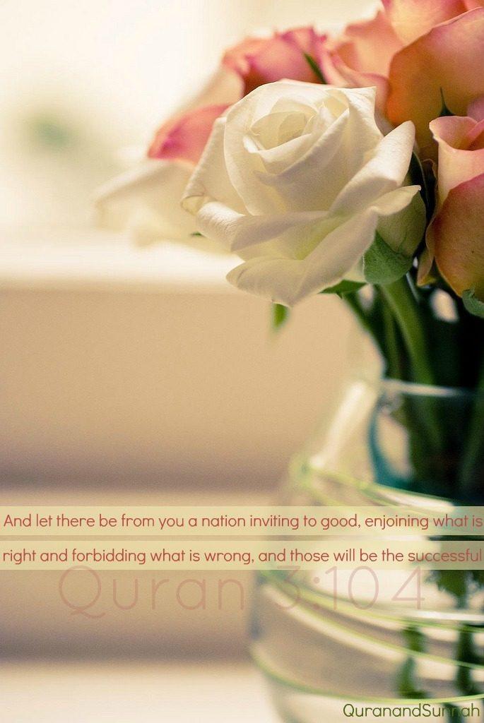 50+ Inspirational Islamic Quran Quotes / Verses In English