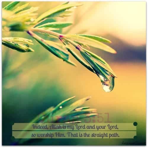 50+ Inspirational Islamic Quran Quotes / Verses In English