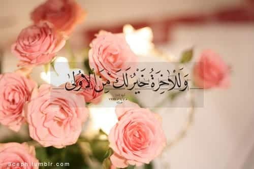 50+ Inspirational Islamic Quran Quotes / Verses In English