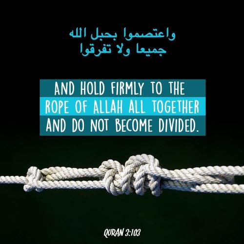 50+ Inspirational Islamic Quran Quotes / Verses In English