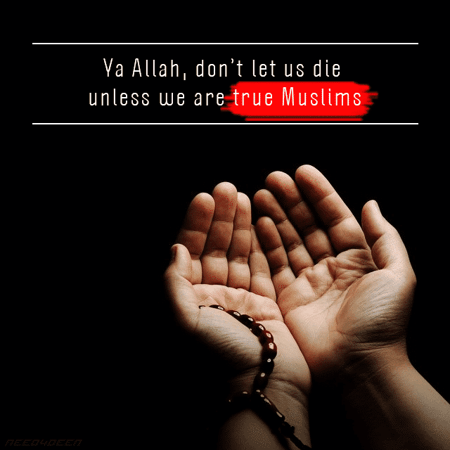 Islamic Prayer Quotes | 40 Beautiful Dua for Recitation