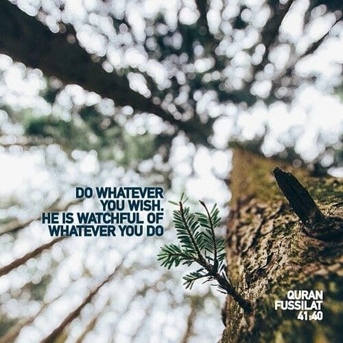 50+ Inspirational Islamic Quran Quotes / Verses In English