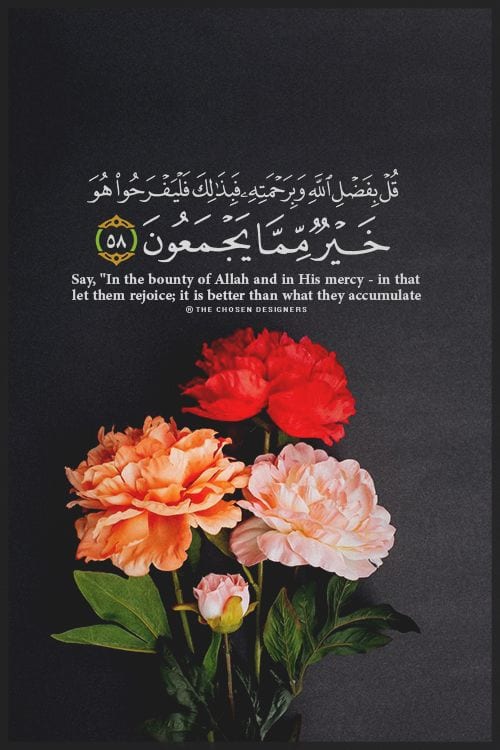 50+ Inspirational Islamic Quran Quotes / Verses In English