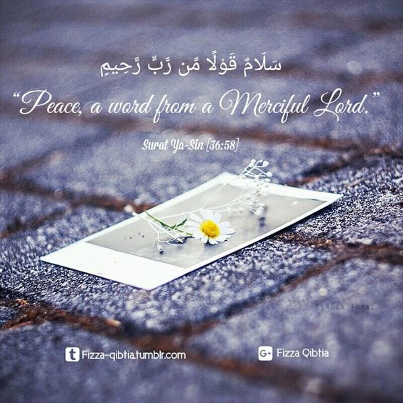 50+ Inspirational Islamic Quran Quotes / Verses In English