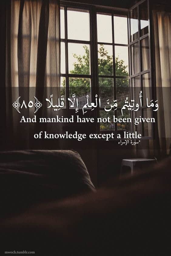 50+ Inspirational Islamic Quran Quotes / Verses In English