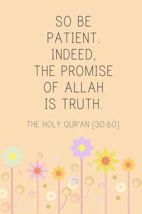 50+ Inspirational Islamic Quran Quotes / Verses In English