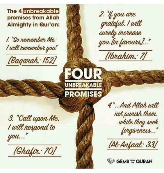 50+ Inspirational Islamic Quran Quotes / Verses In English