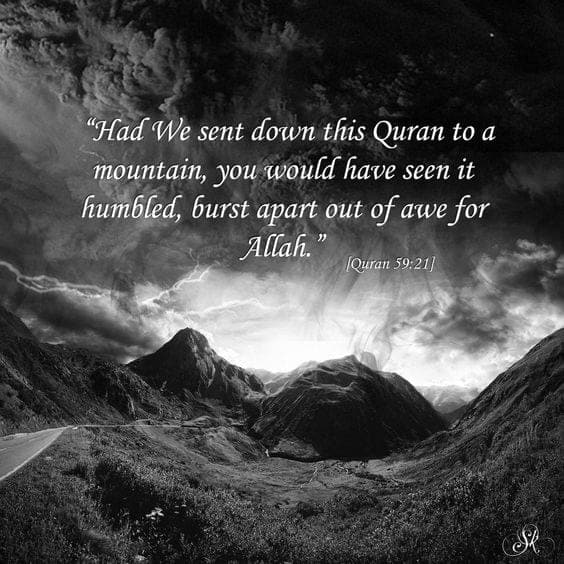 50+ Inspirational Islamic Quran Quotes / Verses In English