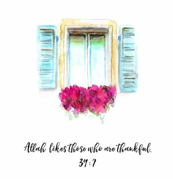50+ Inspirational Islamic Quran Quotes / Verses In English