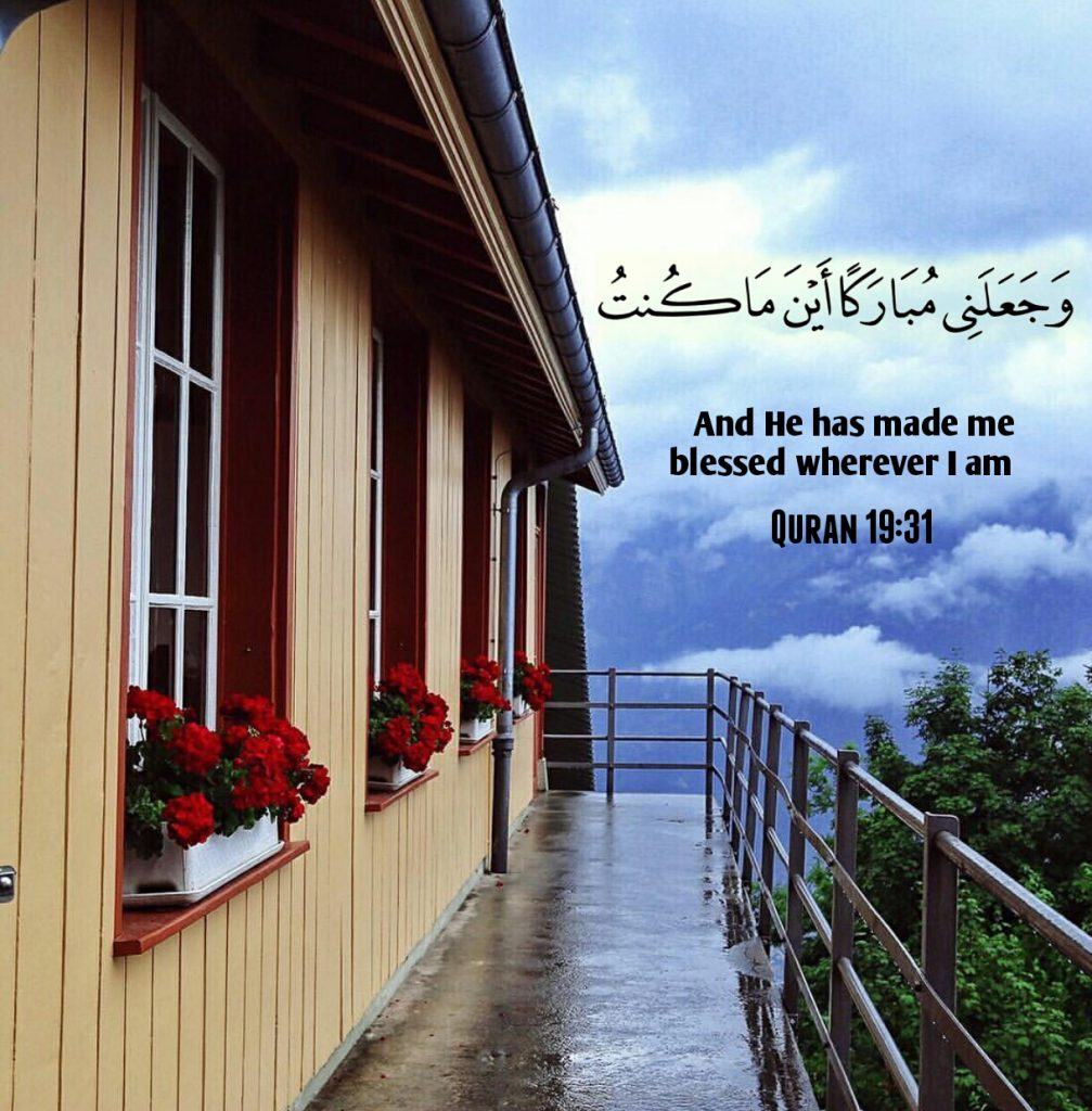 50+ Inspirational Islamic Quran Quotes / Verses In English