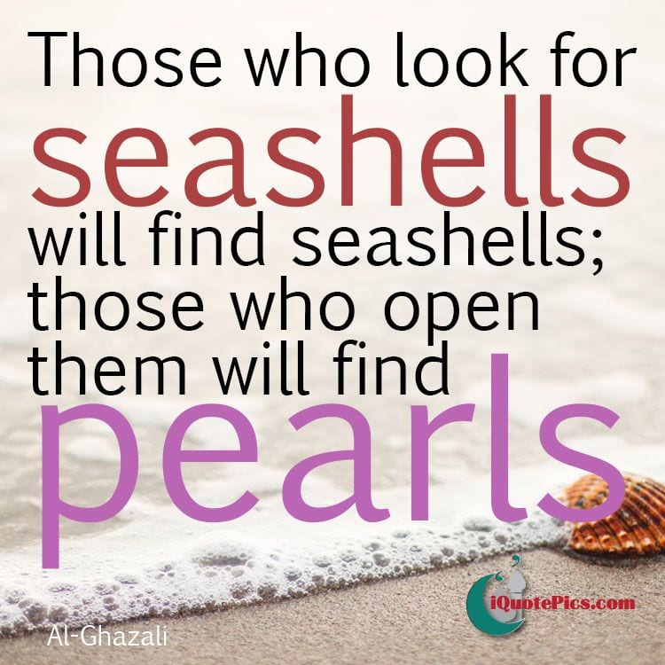 Seashells