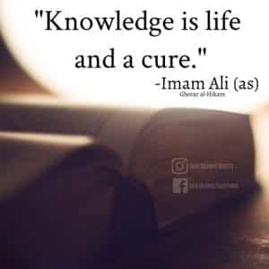 30 Inspiring Islamic Quotes on Education / Knowledge /Study  