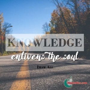 30 Inspiring Islamic Quotes on Education / Knowledge /Study  