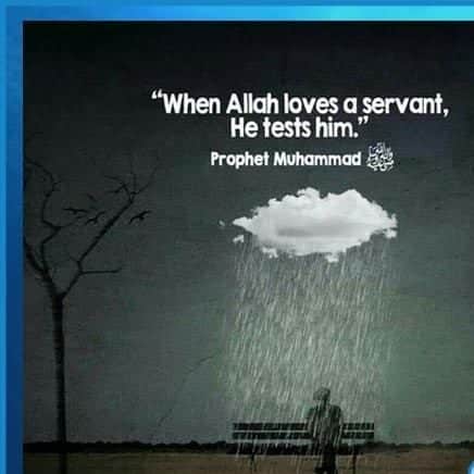 50+ Inspirational Quotes of Prophet Muhammad (P.B.U.H) & Sayings  