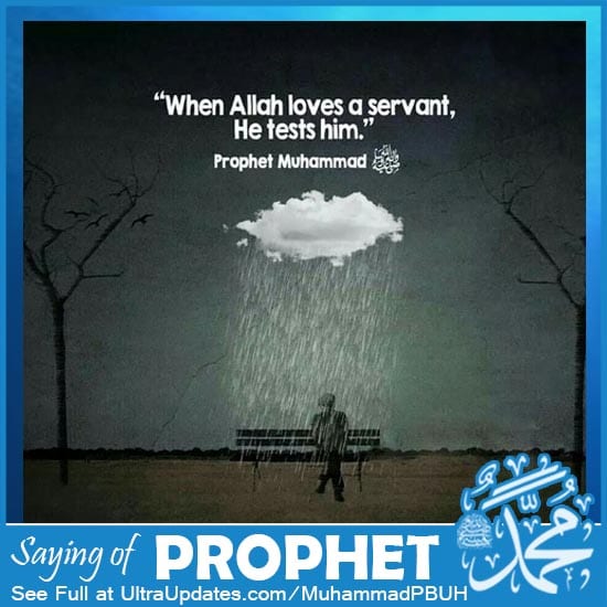 50+ Inspirational Quotes of Prophet Muhammad (P.B.U.H) &amp; Sayings