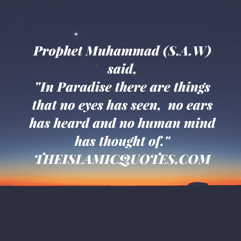 50+ Inspirational Quotes of Prophet Muhammad (P.B.U.H) & Sayings  