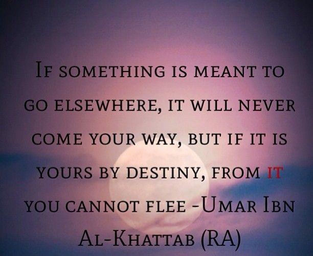 Hazrat Umar Farooq R.A Quotes-70+ Sayings of Umar Bin Khattab  