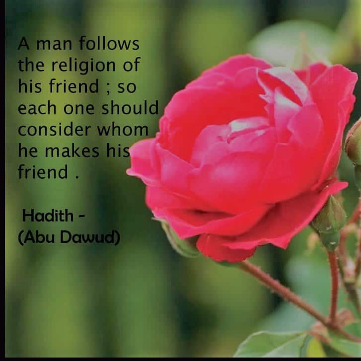 40 Best Islamic Quotes on Friendship -Value of Friendship  