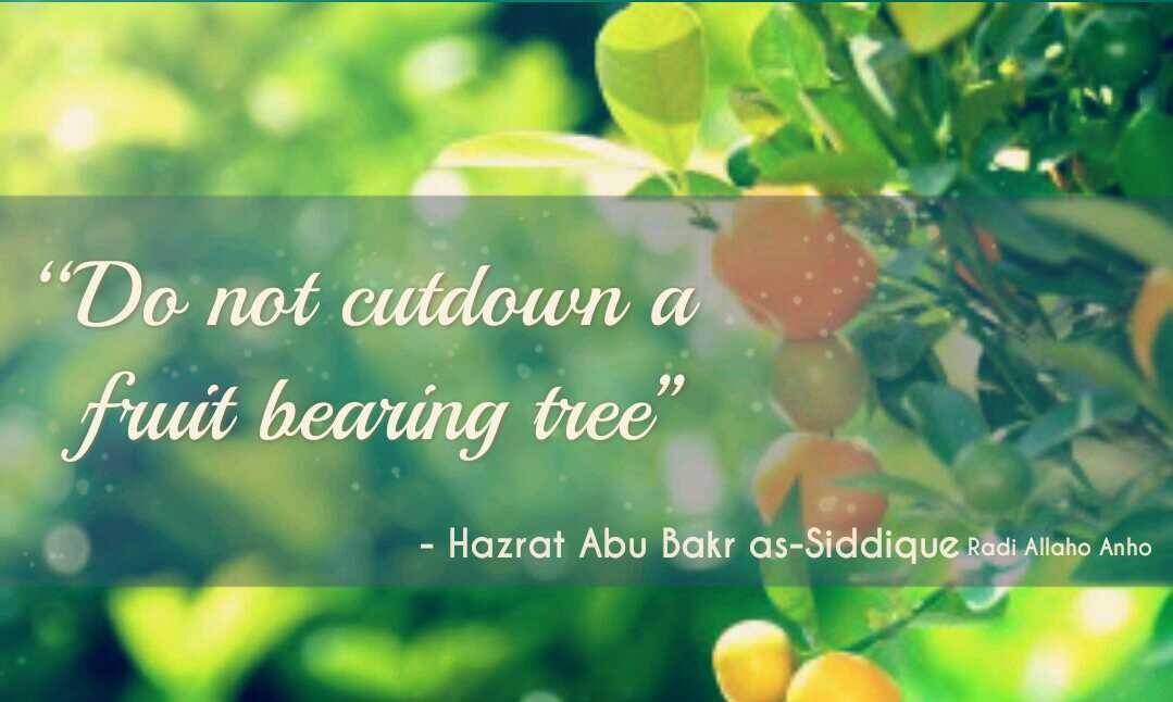 Hazrat Abu Bakar Saddique R.A Quotes and Sayings (4)