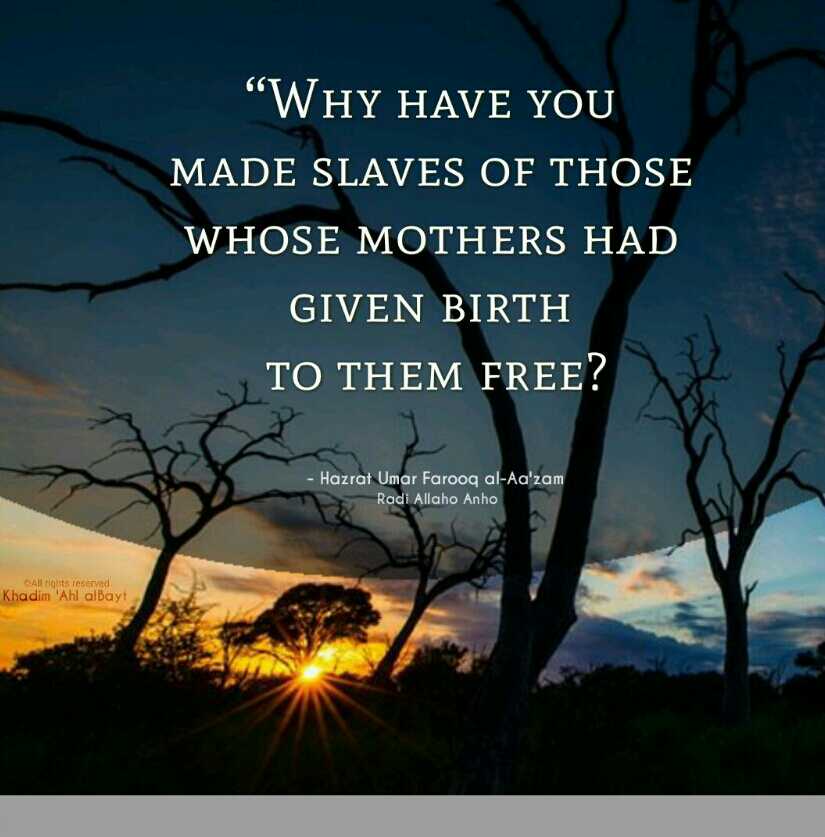 Umar Bin Khattab Quotes (38)