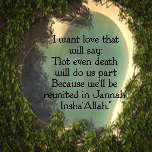 Islamic love Quotes - 40 + Islamic love Quotes for Husbands  