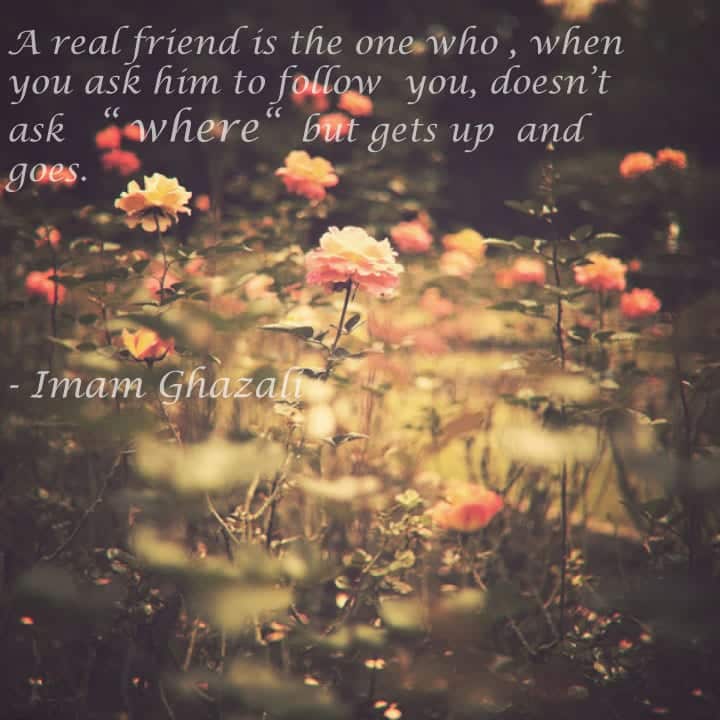 40 Best Islamic Quotes on Friendship -Value of Friendship