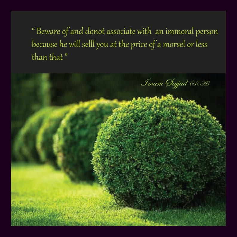 40 Best Islamic Quotes on Friendship -Value of Friendship